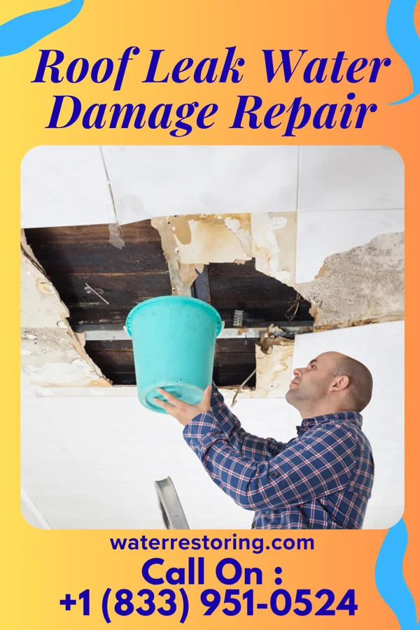 Roof Leak Water Damage Repair in St. Thomas, ND